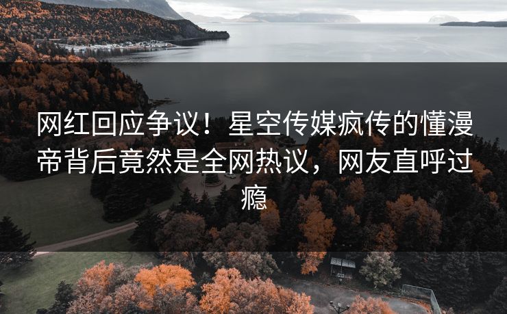 网红回应争议！星空传媒疯传的懂漫帝背后竟然是全网热议，网友直呼过瘾